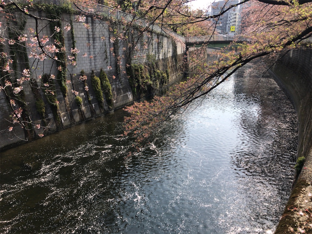 f:id:tacokun:20220407123644j:image