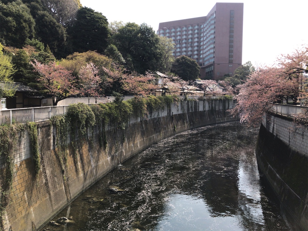 f:id:tacokun:20220407123707j:image