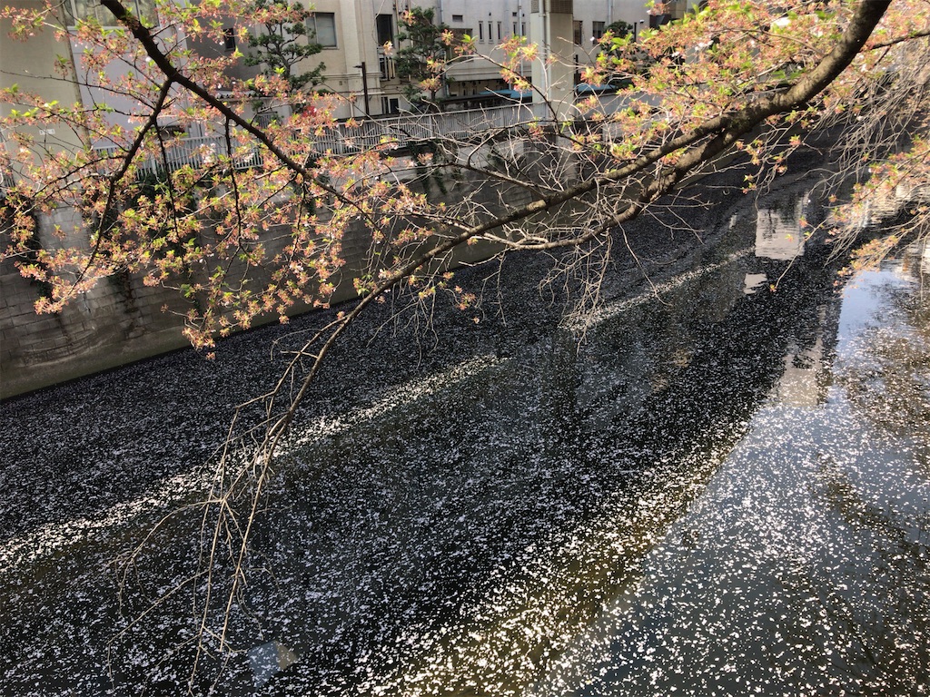 f:id:tacokun:20220407123741j:image