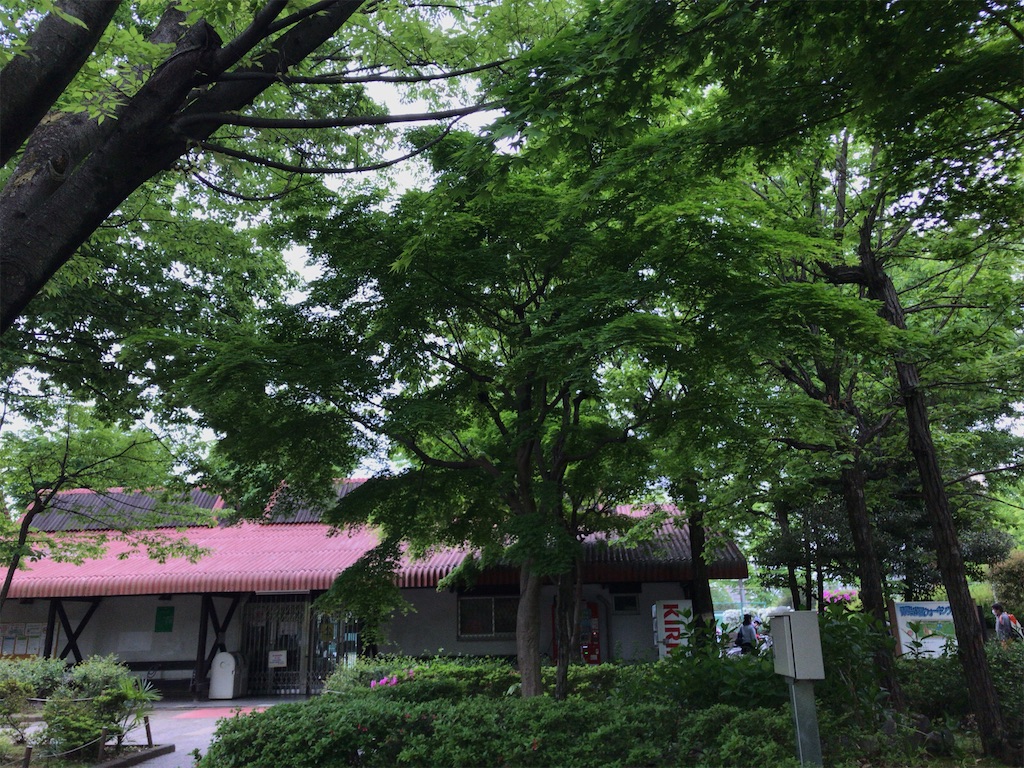 f:id:tacokun:20220501105658j:image f:id:tacokun:20220501105658j:image