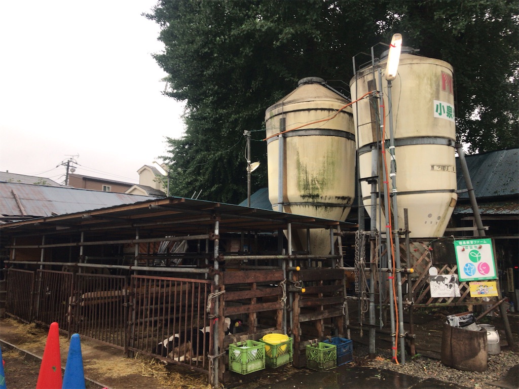 f:id:tacokun:20220714210305j:image f:id:tacokun:20220714210305j:image