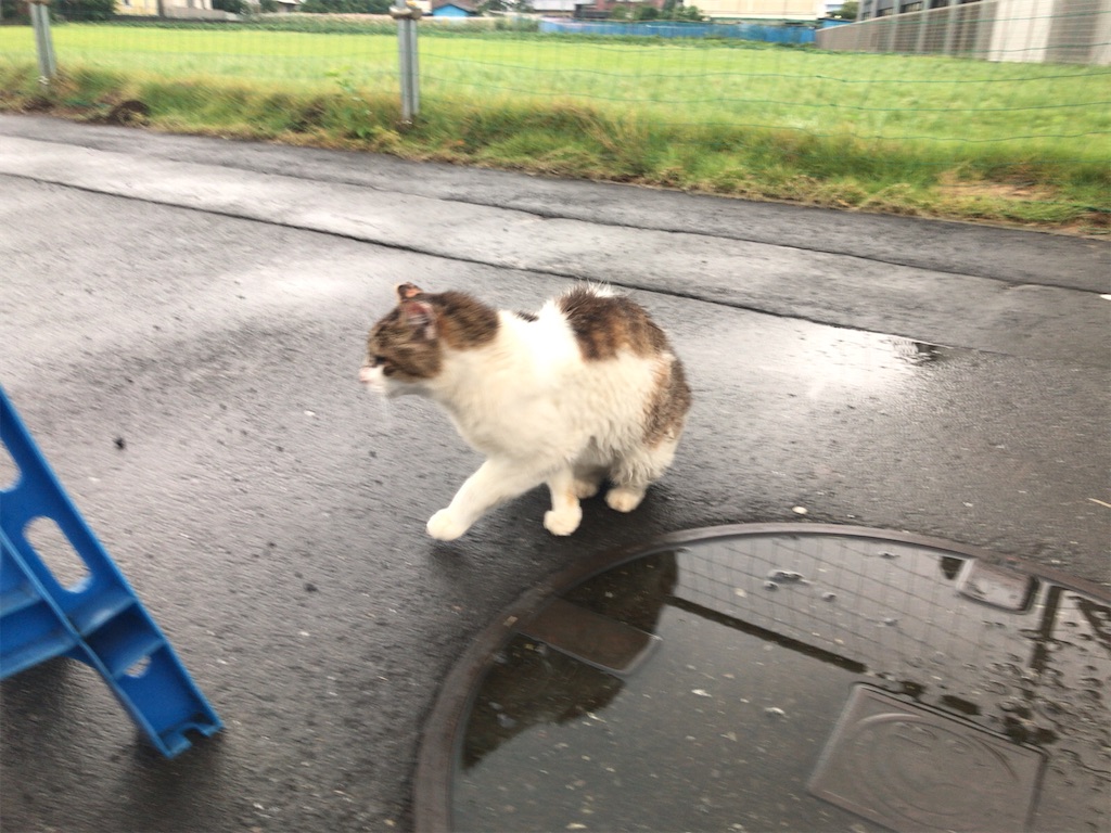 f:id:tacokun:20220714210341j:image f:id:tacokun:20220714210341j:image