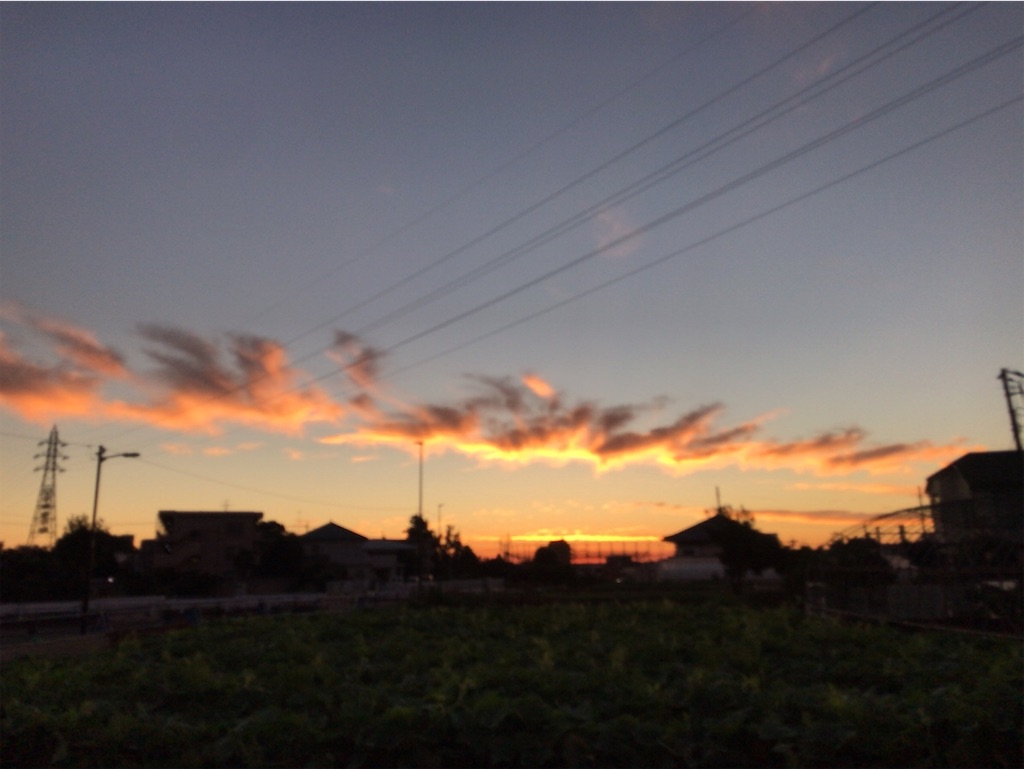 f:id:tacokun:20220819074116j:image f:id:tacokun:20220819074116j:image