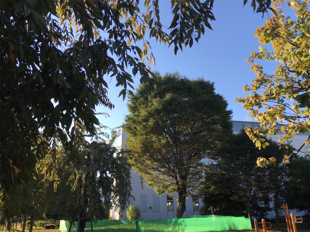 f:id:tacokun:20221027120408j:image f:id:tacokun:20221027120408j:image