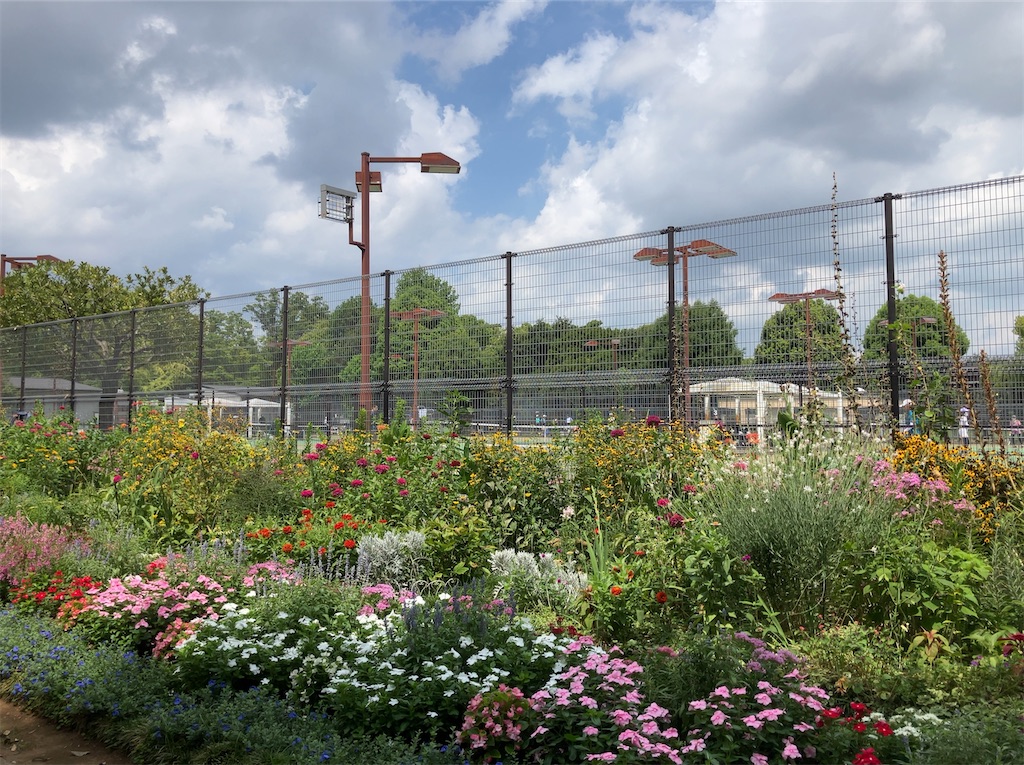 f:id:tacokun:20250816201052j:image f:id:tacokun:20250816201052j:image