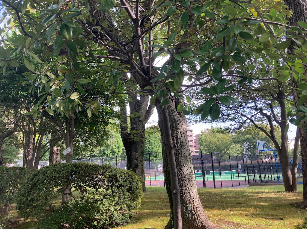 f:id:tacokun:20251206112348j:image f:id:tacokun:20251206112348j:image