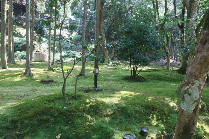 f:id:tacsue605:20200920071117j:plain