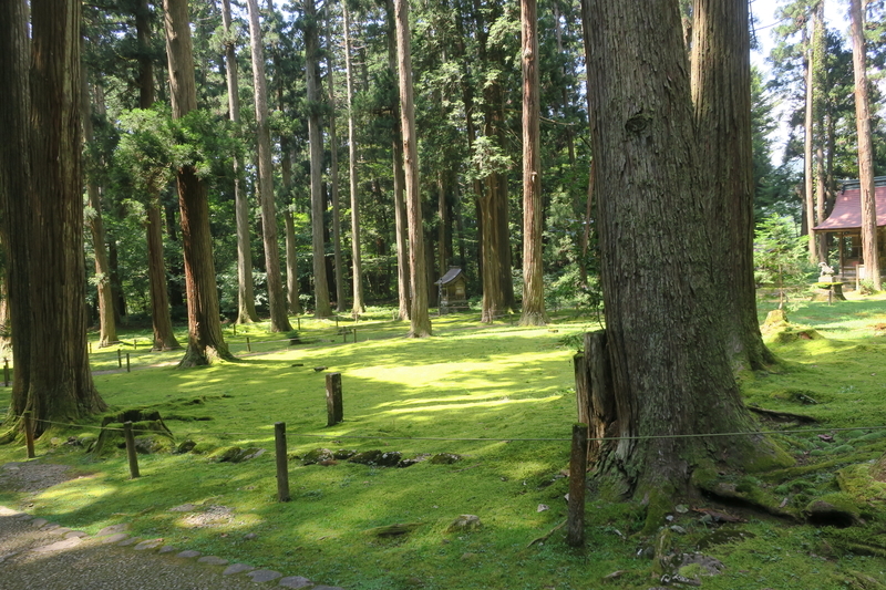 f:id:tacsue605:20200920071306j:plain