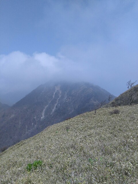 f:id:tacumix:20160503101142j:image f:id:tacumix:20160503101142j:image
