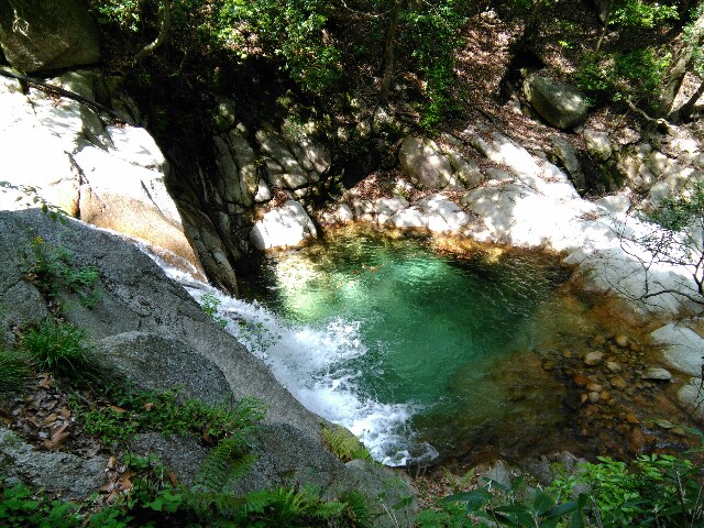 f:id:tacumix:20160514190336j:image f:id:tacumix:20160514190336j:image