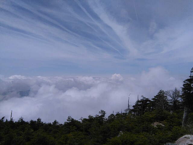 f:id:tacumix:20160520075116j:image f:id:tacumix:20160520075116j:image
