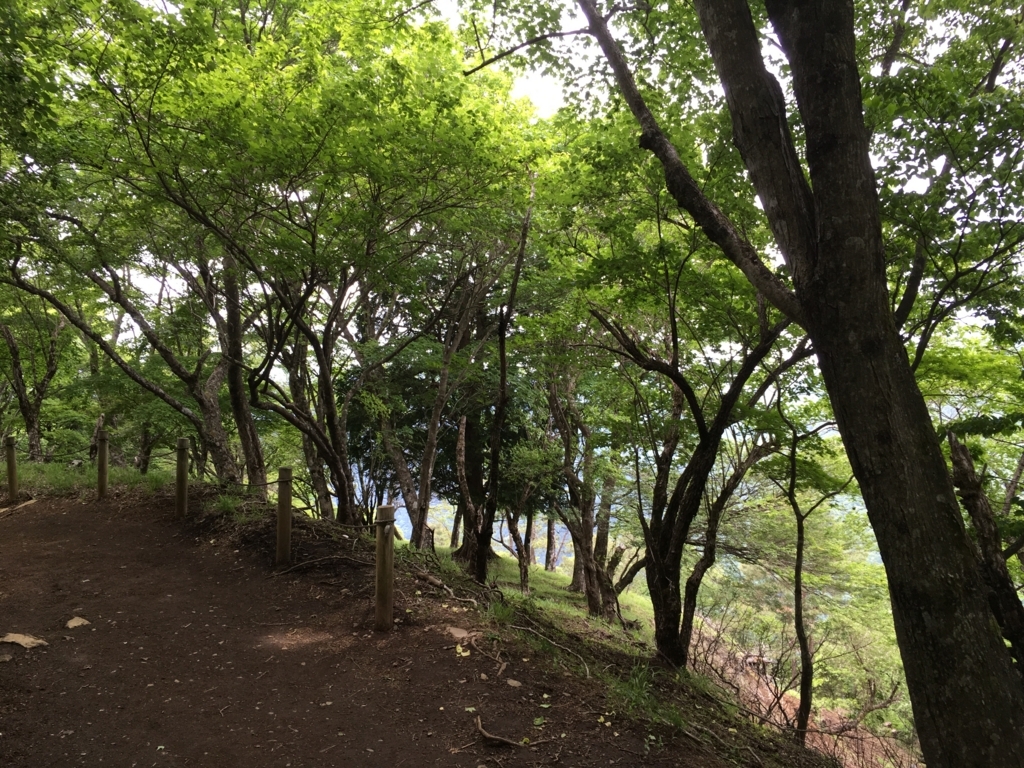 f:id:tacumix:20170603204141j:plain f:id:tacumix:20170603204141j:plain