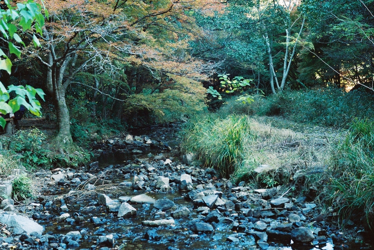 f:id:tada_nya:20220108210938j:plain