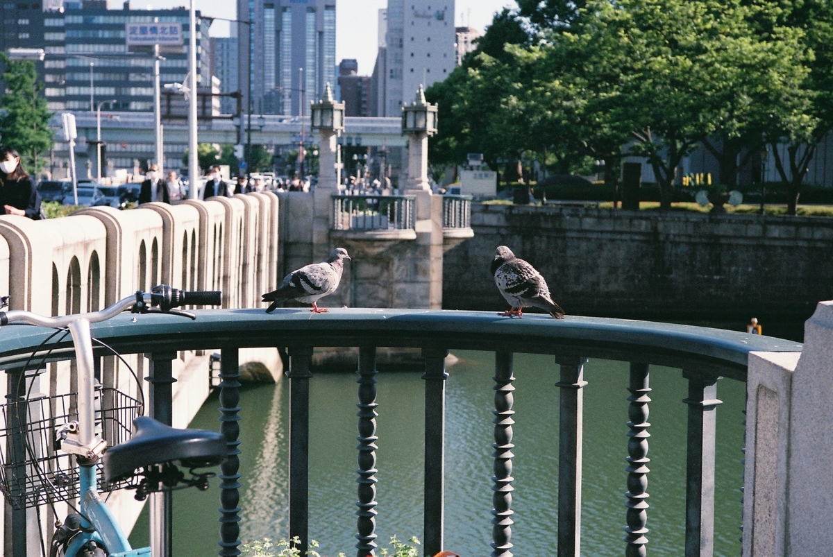 f:id:tada_nya:20220108213335j:plain