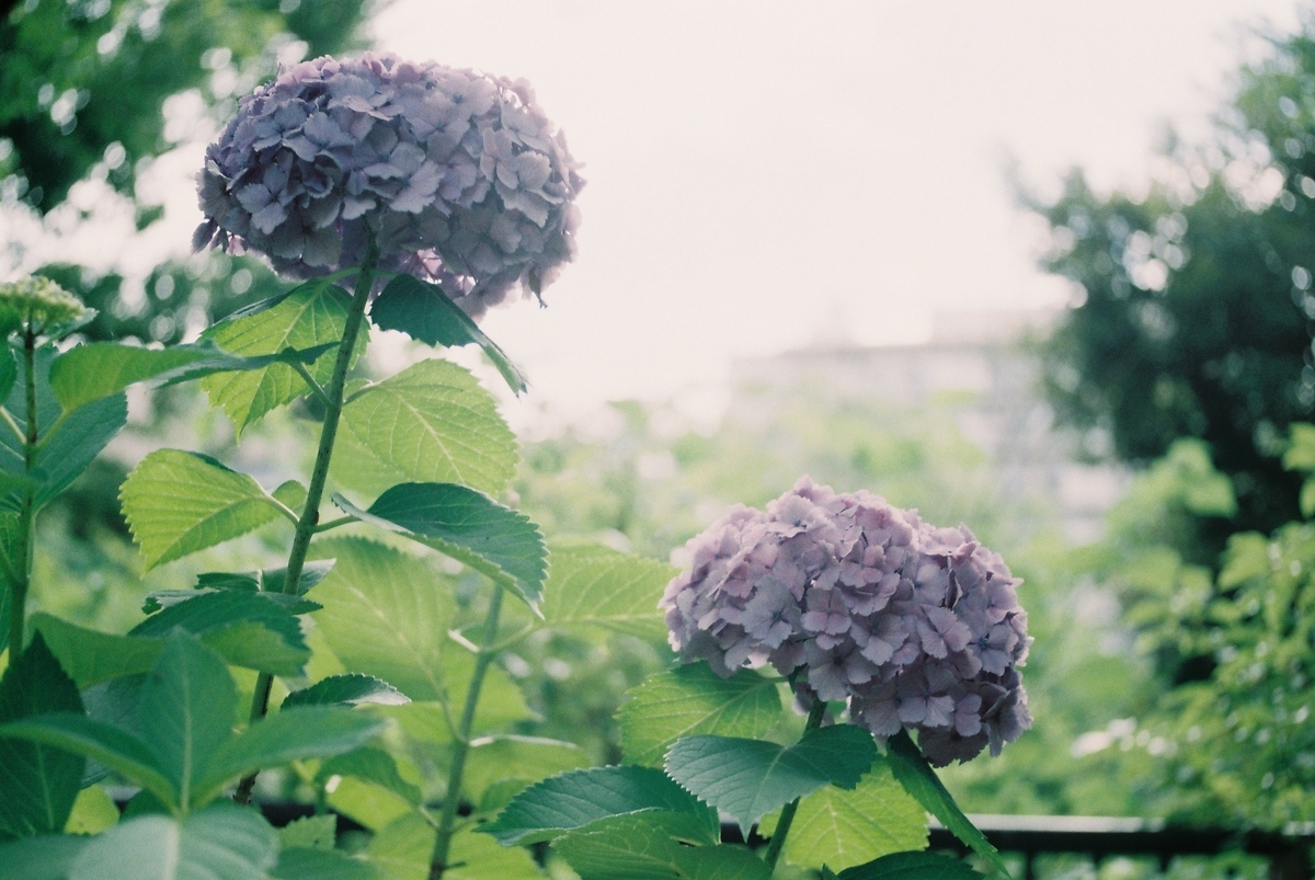 f:id:tada_nya:20220108213426j:plain