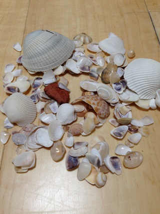 f:id:tadabito:20140814054705j:plain