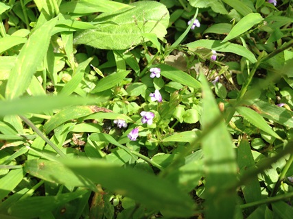 f:id:tadabito:20140831005609j:plain f:id:tadabito:20140831005609j:plain