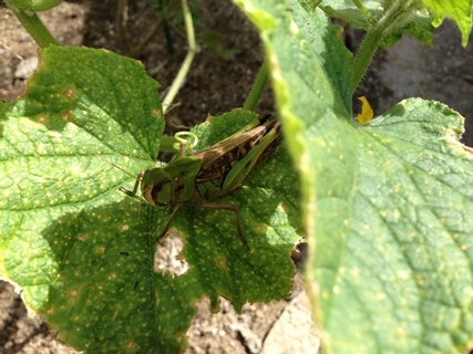 f:id:tadabito:20140905010252j:plain f:id:tadabito:20140905010252j:plain