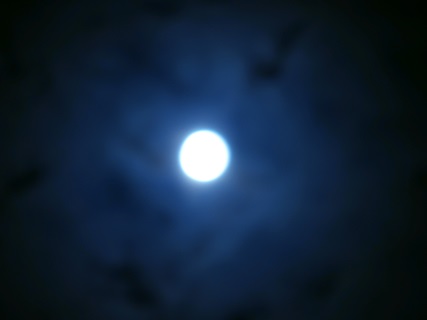 f:id:tadabito:20140910000358j:plain