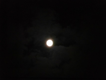 f:id:tadabito:20140910000412j:plain