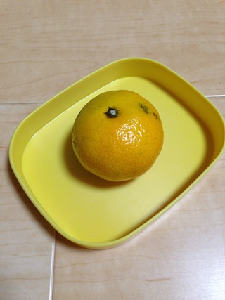 f:id:tadabito:20140920045508j:plain