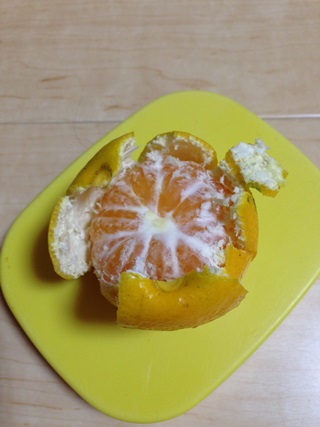 f:id:tadabito:20140920052740j:plain