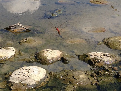 f:id:tadabito:20140922021930j:plain