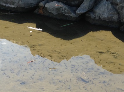 f:id:tadabito:20140922022342j:plain