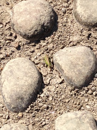 f:id:tadabito:20140922022741j:plain