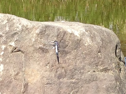 f:id:tadabito:20140922022954j:plain