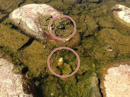 f:id:tadabito:20140922023144j:plain