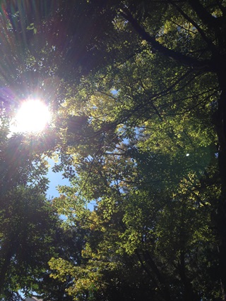 f:id:tadabito:20141021231056j:plain f:id:tadabito:20141021231056j:plain