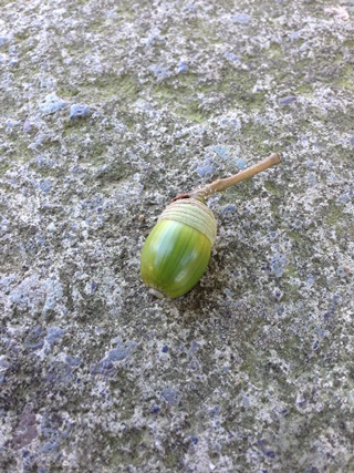 f:id:tadabito:20141021232154j:plain f:id:tadabito:20141021232154j:plain