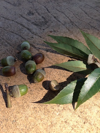 f:id:tadabito:20141021233138j:plain f:id:tadabito:20141021233138j:plain