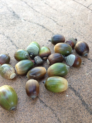 f:id:tadabito:20141021233353j:plain f:id:tadabito:20141021233353j:plain