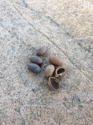 f:id:tadabito:20141021233842j:plain f:id:tadabito:20141021233842j:plain