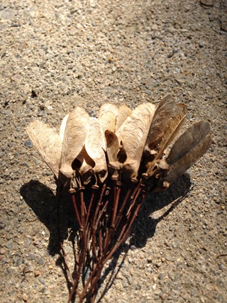 f:id:tadabito:20141021234408j:plain f:id:tadabito:20141021234408j:plain