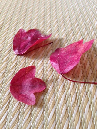 f:id:tadabito:20141021234950j:plain f:id:tadabito:20141021234950j:plain