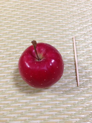 f:id:tadabito:20141111015959j:plain f:id:tadabito:20141111015959j:plain