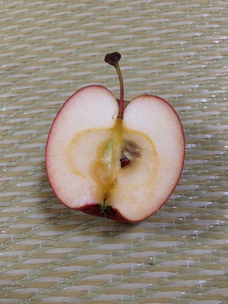 f:id:tadabito:20141111020157j:plain f:id:tadabito:20141111020157j:plain