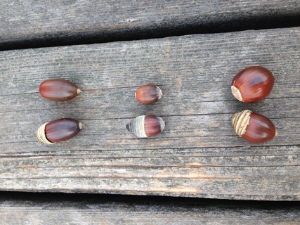 f:id:tadabito:20141202034801j:plain