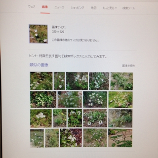 f:id:tadabito:20150501231828j:plain
