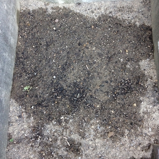 f:id:tadabito:20150606060747j:plain f:id:tadabito:20150606060747j:plain