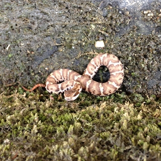 f:id:tadabito:20150610004724j:plain f:id:tadabito:20150610004724j:plain