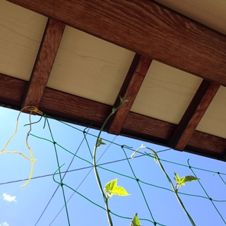 f:id:tadabito:20150726053906j:plain f:id:tadabito:20150726053906j:plain
