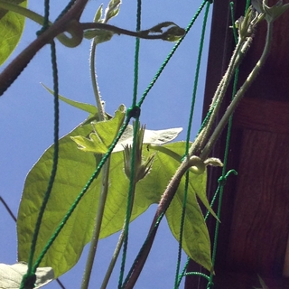 f:id:tadabito:20150726055630j:plain f:id:tadabito:20150726055630j:plain