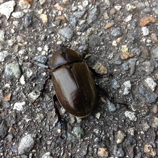 f:id:tadabito:20150805231404j:plain f:id:tadabito:20150805231404j:plain