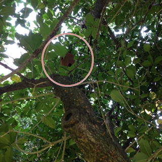 f:id:tadabito:20150827000851j:plain f:id:tadabito:20150827000851j:plain