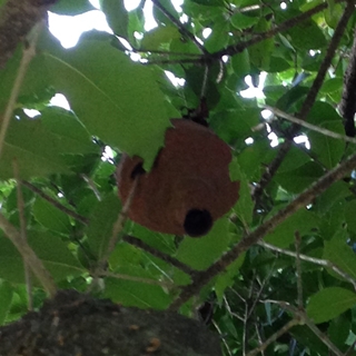 f:id:tadabito:20150827001404j:plain f:id:tadabito:20150827001404j:plain