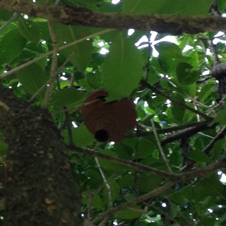 f:id:tadabito:20150827001508j:plain f:id:tadabito:20150827001508j:plain